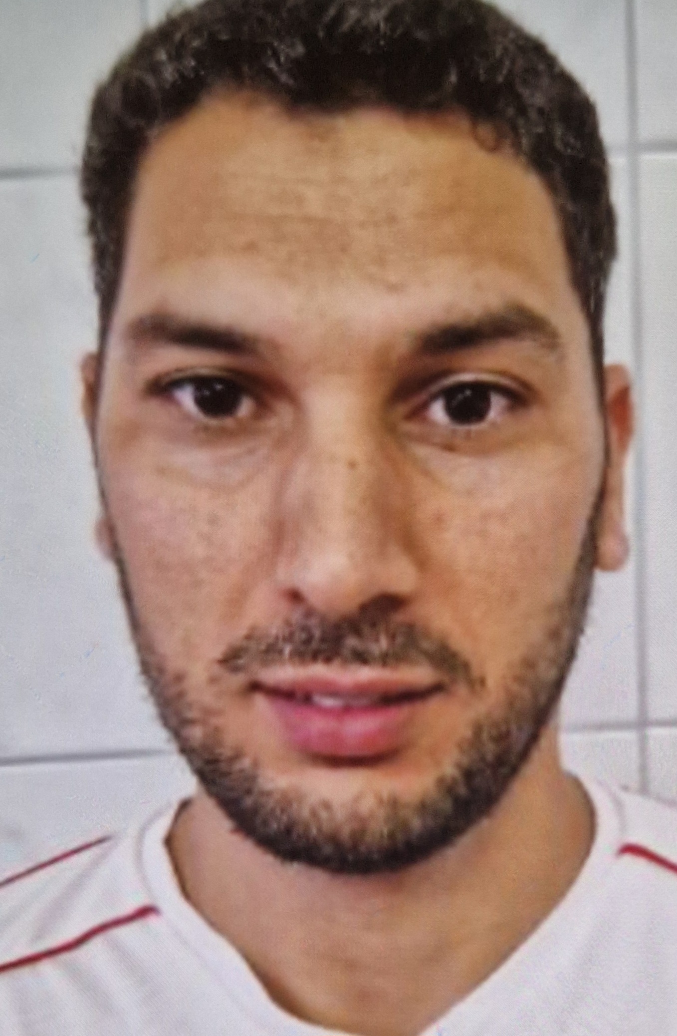 Mohamed ARBIB